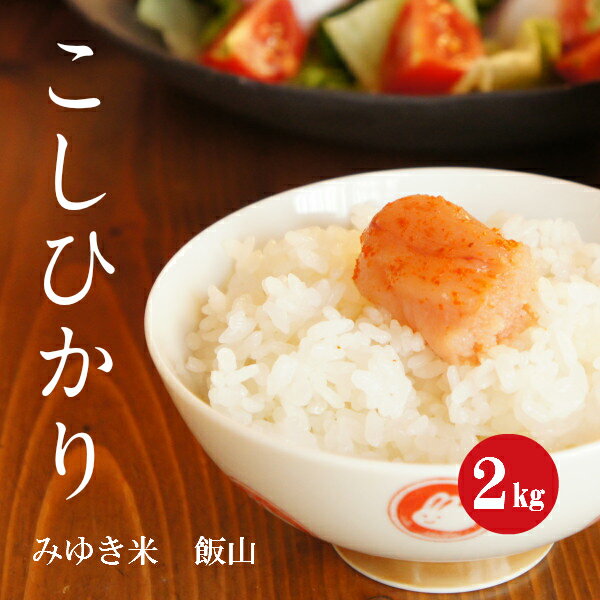 長野県産 コシヒカリ 幻の米 飯山みゆき米 特A1等米 令和1年産 白米 2kg 【...