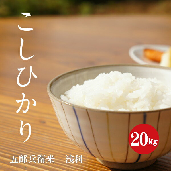 長野県産 こしひかり 五郎兵衛米 特A1等米 1年産 白米 20kg 【新米】【送料無料】【あす楽】