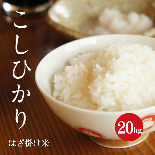 長野県産 こしひかり 「はざ掛け米」 1等米 1年産 白米 20kg 【新米】【送料...