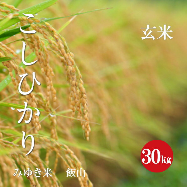 令和5年産 長野県産 こしひかり 幻の米 みゆき米 1等米 玄米 30kg