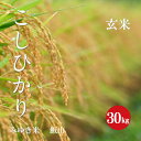 長野県産 こしひかり 幻の米 飯山みゆき米 特A1等米 令和1年産 玄米 30kg 【新米】【送料無料】