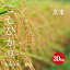 長野県産 こしひかり 幻の米 飯山みゆき米 1等米 令和3年産 玄米 30kg 【送料無料】