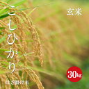 長野県産 こしひかり 「はざ掛け米」 1等米 令和1年産 玄米 30kg 【新米】【送料無料】