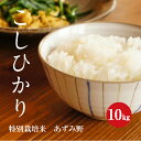 特別栽培米 こしひかり 安曇野産 1等米 令和1年産 白米 10kg【送料無料】【あす楽】【楽ギフト包装】