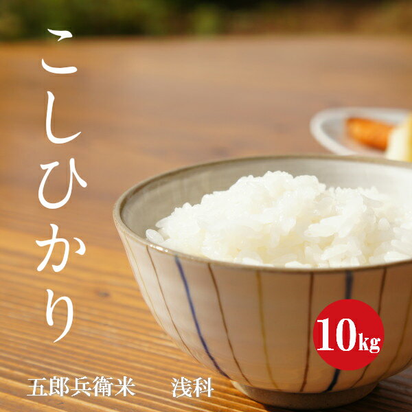 長野県産 こしひかり 五郎兵衛米 1等米 令和4年産 白米 10kg 【送料無料】...