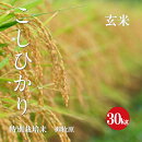 長野県産コシヒカリ特別栽培米１等玄米３０ｋｇ