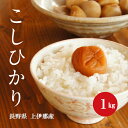 令和5年産 長野県 上伊那産 こしひかり 1等米 白米 1kg