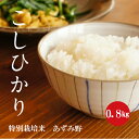 特別栽培米 こしひかり 安曇野産 1等米 令和1年産 白米 0．8kg 【新米】【送料無料】