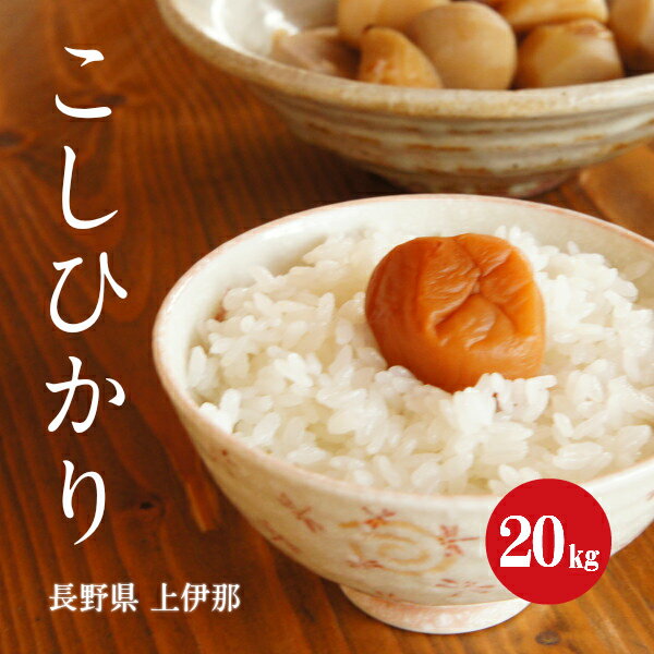 令和5年産 長野県 上伊那産 こしひかり 1等米 白米 20kg