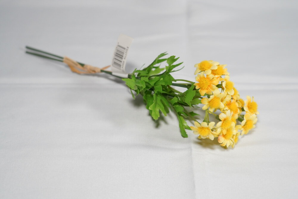 �ӡ��ǡ������Х�ɥ롡¤��