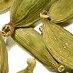 商 品 説 明 【英名】Cardamom 【学名】Elettariacardamomum 【和名・別名】ショウズク 【科名】ショウガ科 【使用部位】 種 原 産 国 グアテマラ 特徴 カレーや生姜に似た刺激的な香りがします。 お茶にすると、意外に甘くさっぱりとした味です。 スパイスの女王と呼ばれるカルダモンは、最も古いスパイスの一つで、またサフランについで高価なスパイスのひとつでもあります。 もともとは東洋のスパイスでローマ時代にヨーロッパに伝わり、主に香料として使われていたそうです。 賞 味 期 限 製造日より2年 商 品 区 分 食品 広 告 文 責 有限会社　レモンジンガー [TEL] 092-542-5844