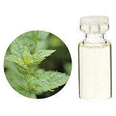 【GET! 生活の木 エッセンシャルオイル スペアミント 10mL】 アロマオイル 精油 アロマ