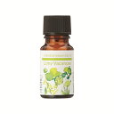 【GET! 生活の木 ブレンド精油 ライミーバカンス10ml】 エッセンシャルオイル アロマオイル 精油 アロマ