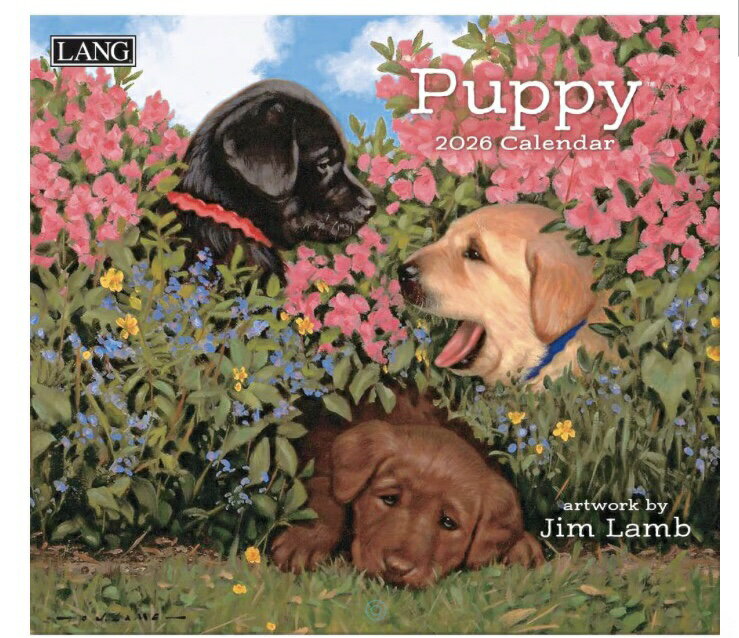 【即発送】ラブラドール雑誌 即発送】ラブラドール雑誌 RETRIEVER magazine