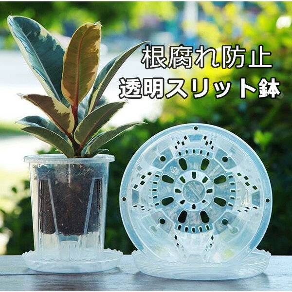 Ķ5ĥå åȭ ȭ Ʃåȭ å ȭ ͥߥ ȭ Ʃ ؤ տʪοؤ ȭ ꥢ տʪȭ ...