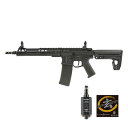 DE Airsoft AR-15 Aeroknox×Ascend Armory Custom AEG (玄モーター仕様/電子トリガー搭載/UTRシリーズ) ガンケース付 Black