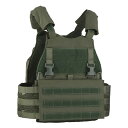 WoSporT VSスタイル SCARAB LTプレートキャリア+ジップオンバックパネル RG