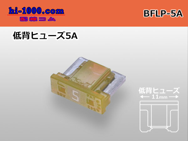 �֥졼�ɷ����إҥ�ݥ� - 5A [���쿧]