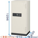 【金庫診断士のいる専門店】CS-92E テンキー式 耐火金庫 大型【価格重視】業務用金庫