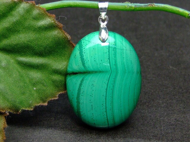 51073����1����� 32��24mm A �ޥ饫���� �ڥ����ȥȥå� ����̵��ͭ ��ŷ�ǰ��ͤ�ĩ�� �������� ŷ���� �ѥ���ȡ���