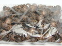 福袋351 今月80%off 座金 14mm 約1000個セット 赤銅古美 パーツ 在庫処分 送料無料有 楽天最安値に挑戦 天然石 パワーストーンアクセサリー...