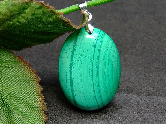 51050����1����� 32��25mm A �ޥ饫���� �ڥ����ȥȥå� ����̵��ͭ ��ŷ�ǰ��ͤ�ĩ�� �������� ŷ���� �ѥ���ȡ���