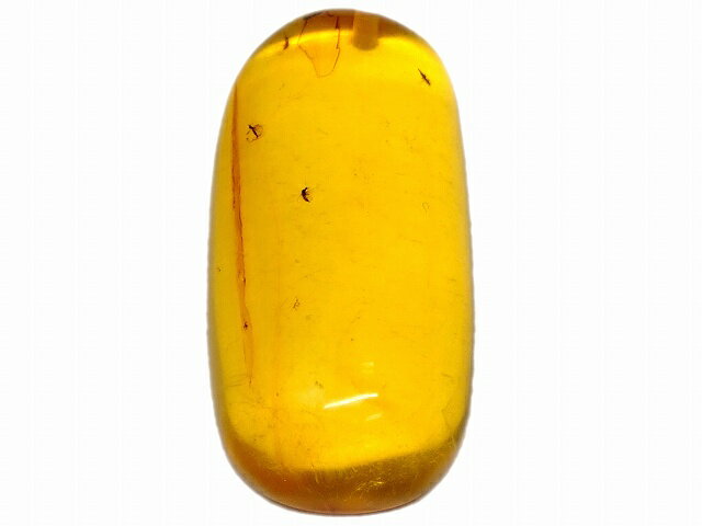 67693　　虫入り アンバー 琥珀 39mm×18mm 1個売り ルース 裸石 穴あり ペンダントトップ 送料無料 メキシコ産 天然石 パワーストーン