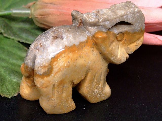 67750　　今月の半額 わけあり ジャスパー 50mm×36mm 1個売り 象 ゾウ ぞう 送料無料 天然石 パワーストーン