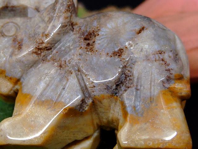 67750　　今月の半額 わけあり ジャスパー 50mm×36mm 1個売り 象 ゾウ ぞう 送料無料 天然石 パワーストーン