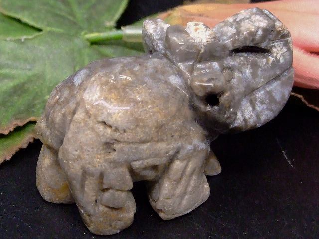 67751　　今月の半額 わけあり ジャスパー 50mm×36mm 1個売り 象 ゾウ ぞう 送料無料 天然石 パワーストーン