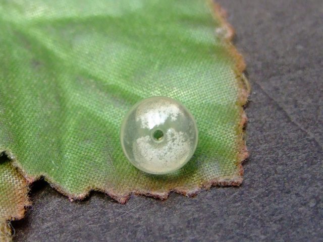 56125　　ホワイトファントムクォーツ 8mm A 1粒売り 水晶 送料無料 ブラジル産 天然石 パワーストーン