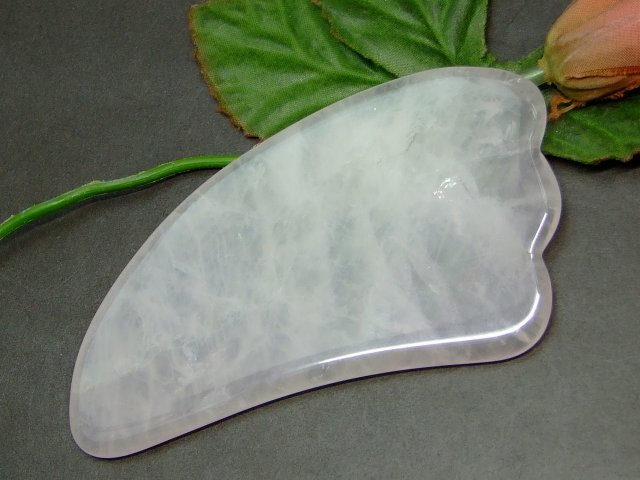 62475���������� �����ꥹ ���ä��ץ졼�� �������������� ���� 1����� ���ơ��ޥå����� ����̵�� ŷ���� �ѥ���ȡ���