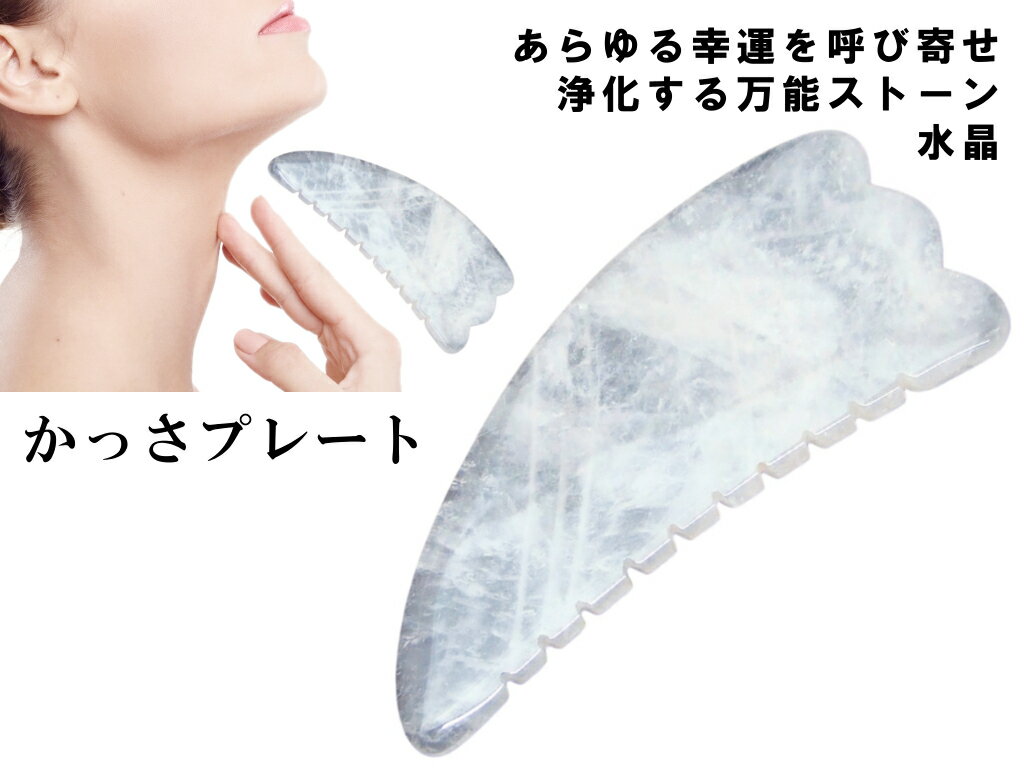 k3-17F��������55��OFF �櫓���� ���ä��ץ졼�� �徽 ���ꥹ���� �������� 140mm��67mm �ݡ����դ� ��ȩ ���� ���� �ޥå������� ����̵...