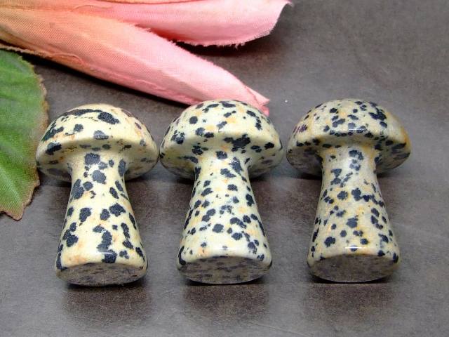 k3-100A　　ダルメシアンジャスパー 35mm×25mm 1個売り きのこ キノコ 送料無料有 天然石 パワーストーン