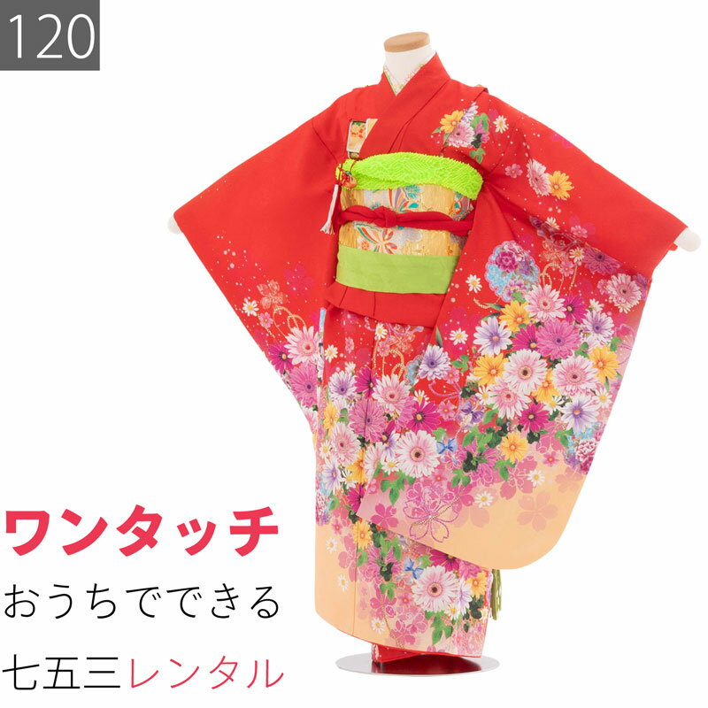 Rakuten - 【レンタル】七五三 着物 7歳 女の子 120サイズ レンタル 四つ身 着物 (着付け 簡単) 赤 菊 桜 (7084)
