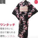 着物 レンタル 春秋冬用 レディース 袷 小紋 袋帯 セット「Lサイズ」黒・桜和服 レンタル (1116a)