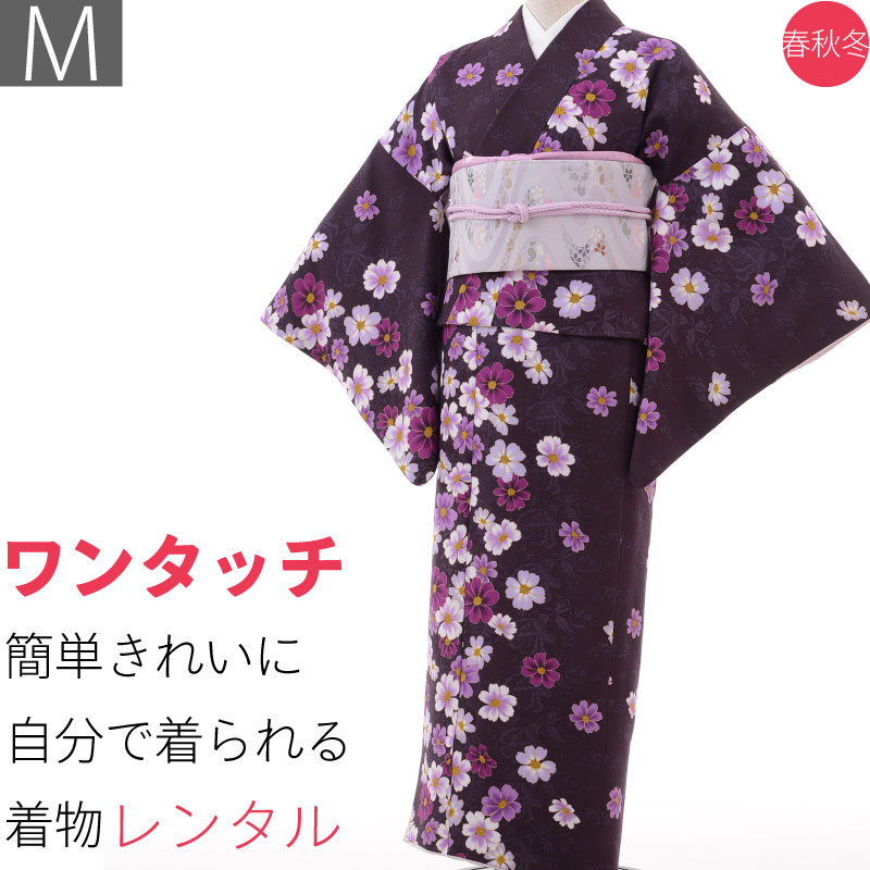 【レンタル】着物 レンタル 春秋冬用 レディース 袷 小紋 京袋帯 セット「Mサイズ」紫・コスモス (1123a)