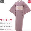 【レンタル】【着物/レンタル】レンタル着物 袋帯・ハイグレード・セット「XLサイズ」紫色 鮫小紋&袋帯 白色・菱文〔江戸小紋〕 (春秋冬用/女性用 レディース 袷) 和服 色無地 代わりに (1280a)