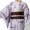【レンタル】〔着物 レンタル〕単衣ハイグレード レンタル(初夏・初秋用/女性用レディース単衣)「Sサイズ」うす紫・絣 (3007a)