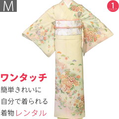 https://thumbnail.image.rakuten.co.jp/@0_mall/auc-hiroses/cabinet/houmongi/2062a.jpg