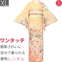 【レンタル】訪問着 レンタル トールサイズ 七五三 卒業式(ママ/お母さん)卒園式 入学式 結婚式 披露宴「XLサイズ トールサイズ」淡オレンジ色 貝桶と菊 着...