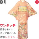 【レンタル】訪問着 レンタル トールサイズ 七五三 卒業式(ママ/お母さん)卒園式 入学式 披露宴「XLサイズ」オレンジ色 菊・梅・桔梗 着物+袋帯 セット ワ...