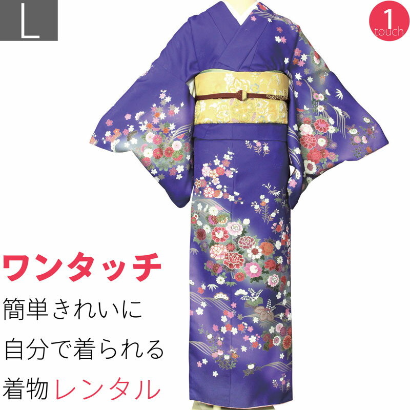 【レンタル】訪問着 レンタル 七五三 パーティー 舞台衣装「Lサイズ」紺 菊 着物+袋帯 セット ワンタッチ 着物 レンタル (2178a)