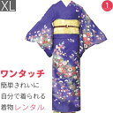 【レンタル】訪問着 レンタル トールサイズ 七五三 パーティー 舞台衣装「XLサイズ」紺 菊 着物+袋帯 セット ワンタッチ 着物 レンタル (2179a)