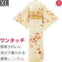 【レンタル】訪問着 レンタル トールサイズ 七五三 卒業式 卒園式 入学式 結婚式 披露宴「XLサイズ」ベージュ 菊花束 紗綾型 着物 フルセット ワンタッチ ...