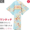 【レンタル】訪問着 レンタル トールサイズ 七五三 卒業式 卒園式 入学式 結婚式 披露宴「XLサイズ」水色 菊花束 紗綾型 着物 フルセット ワンタッチ 着物...