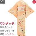 【レンタル】訪問着 レンタル トールサイズ 七五三 母 「XLサイズ」橙色 菊花束 紗綾型 着物 フルセット ワンタッチ 着物 (2289a)