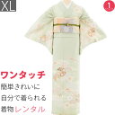 【レンタル】訪問着 レンタル 七五三 母 卒業式 入学式 「XLサイズ」淡緑色 丸菊取り 松竹梅 フルセット ワンタッチ 簡単 (2399a)
