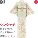 【レンタル】訪問着 レンタル 七五三 母 卒業式 入学式 お宮参り「XLサイズ」淡緑 菊 松 星七宝 フルセット ワンタッチ 簡単 (2444a)