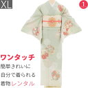 【レンタル】訪問着 レンタル 七五三 母 卒業式 入学式 お宮参り「XLサイズ」薄緑 雪輪 菊 松 梅 フルセット ワンタッチ 簡単 (2514a)